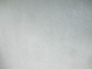 DSCF4296
