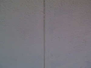 DSCF3163