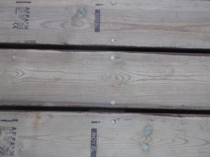 DSCF3212