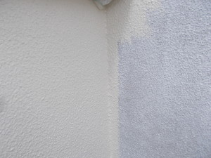 DSCN3893