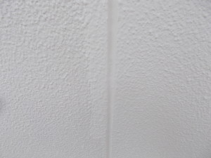 DSCN3896