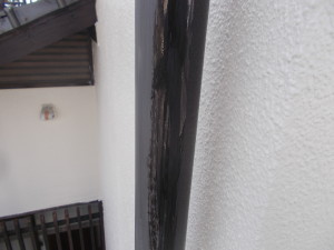DSCN3914