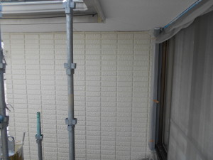 DSCN5407