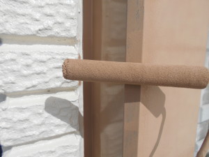 DSCN5458