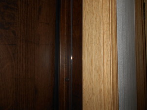 DSCN5604