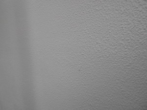 DSCN5646
