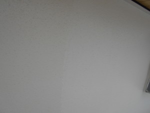 DSCN5670