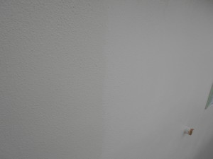 DSCN5671