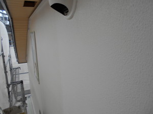 DSCN5672