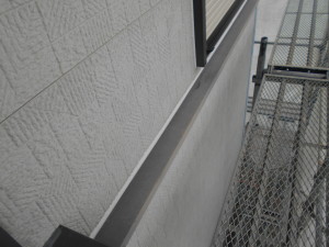 DSCN5997