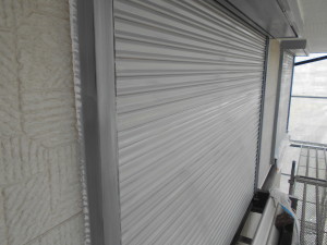 DSCN6031