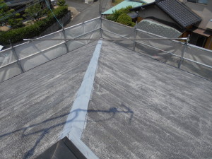 DSCN6073