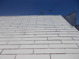 DSCN6363