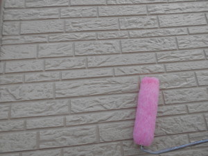 DSCN6743