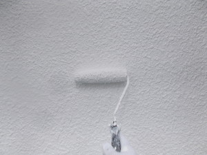 DSCN6325