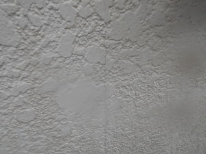 DSCN7699