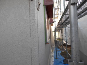DSCN7748