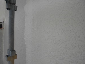 DSCN7793